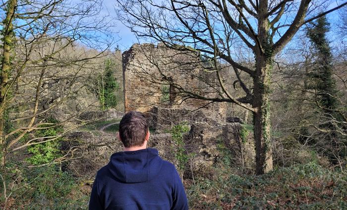 A person looking at a ruin surrounded by trees